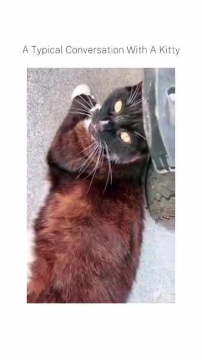 how many packs a day does he smoke