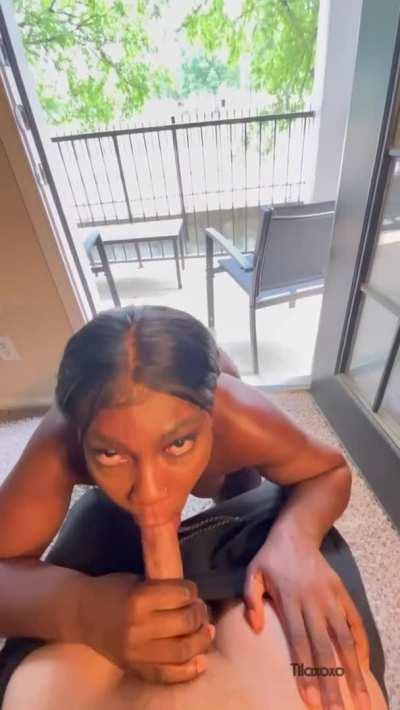 I love sucking white cock