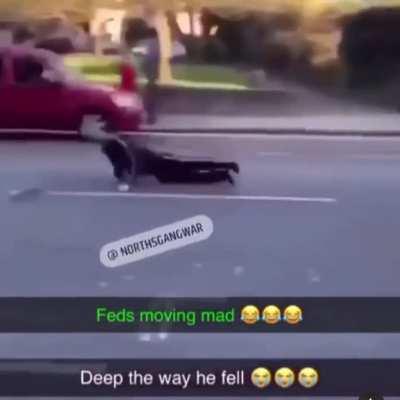 😂😂man dolphin dived