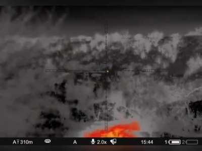 Night hunting invaders