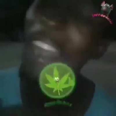 Promoção só hj na boca do k11