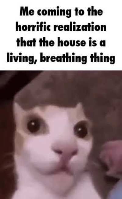 Dream was too long for the title, context in comments