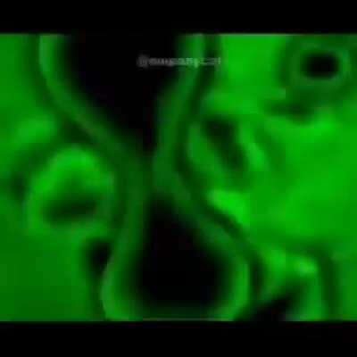 migración a brasil finalizada con exito