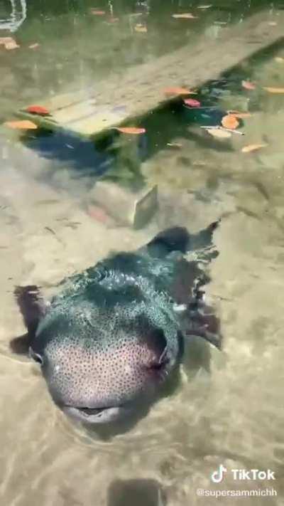 It sure is beautiful outside!