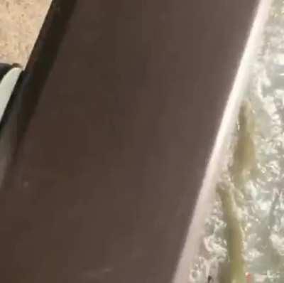 Trust me, it won't fall.