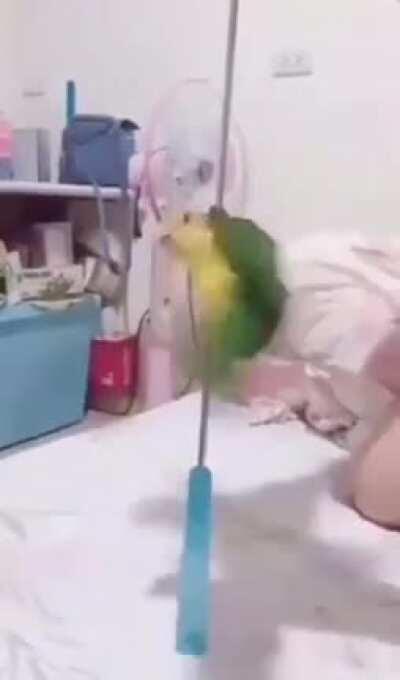 The divorce had been financially stressful, but Peaches felt empowered finally making her own money while owning her sexuality