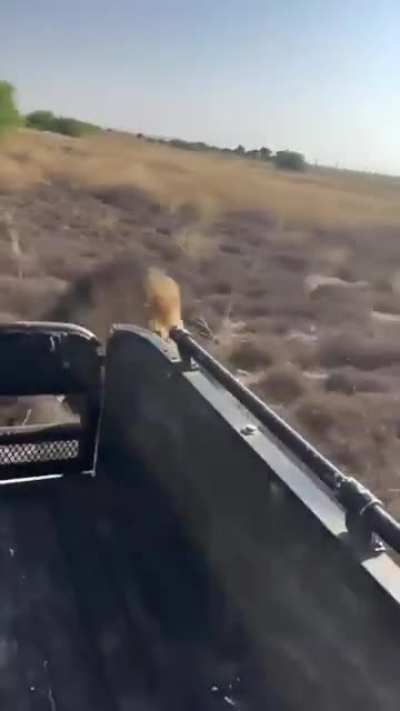 I'd pee, poop and vomit all at once!😮