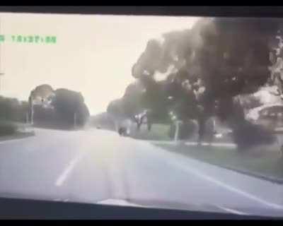 Actually pretty funny