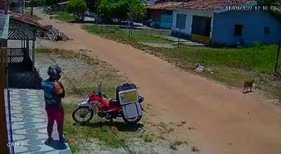 A ocasião faz o ladrão.