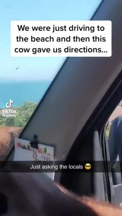 Most normal event in Spain