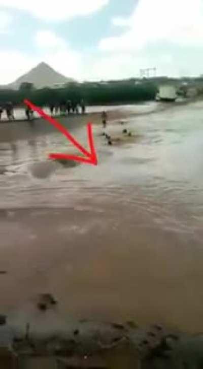 I have no explanation for this