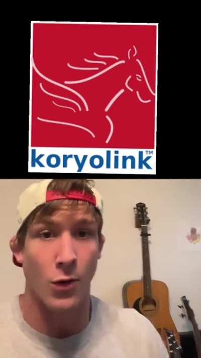 How the Internet works in North Korea/does North Korea have Internet.