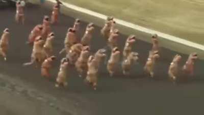 گفتن کوروش عضو شرکت کننده ها بوده😂