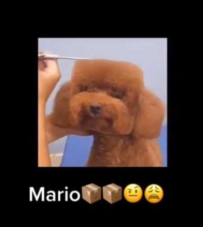 Sheeeeeeesh 🥶🧊🧊