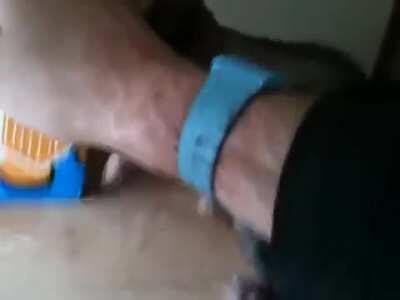 Proud mama ferret shows her babies to the owner