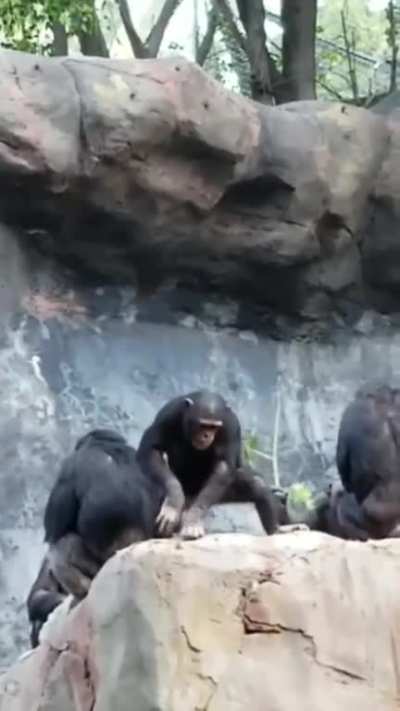 ليش ما تذكر ي مخيس🤬