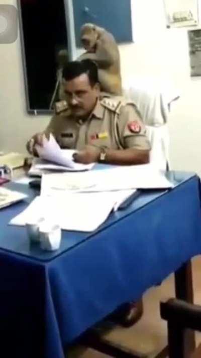 A normal day in India!