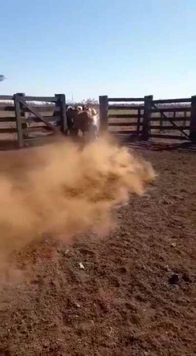 dj henrique comprou uma moto