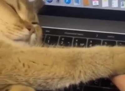 stop clicking your keyboard