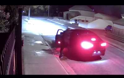 Worlds worst arsonists set themselves on fire.