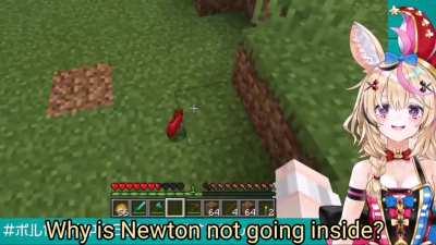 Newton punishes Polka