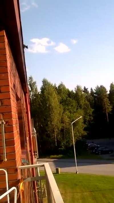 I think we're gonna have to allow this here.