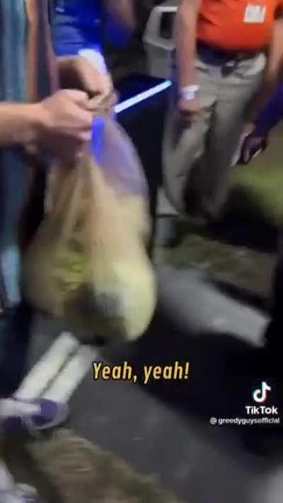 These guys get into a festival with bags of lettuce.