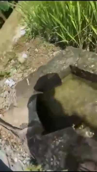 Хороший фокус, интересный