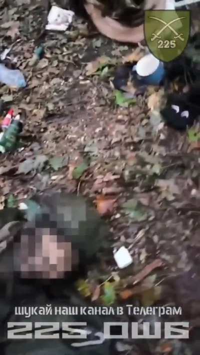 225th Battalion capture a Russian Stronghold on the Kursk Region