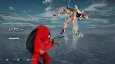 Bird got the punishment down