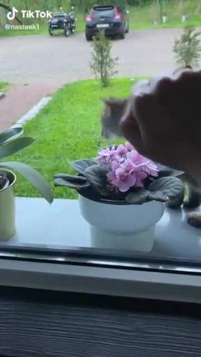 Put that finger down!