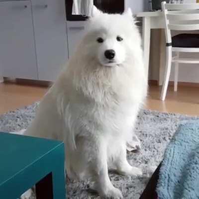 A cloud slowly losing their battle with sleep