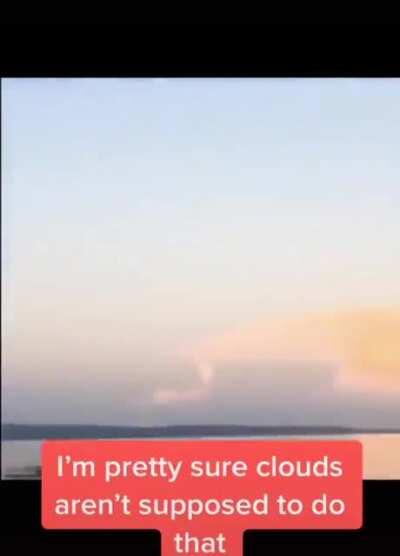 life could be a dream