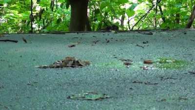 Sophie ends some snails...