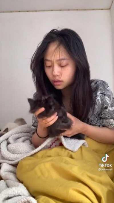 Kitten takes a seriously deep nap