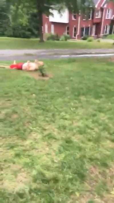 He hit everything but the pool