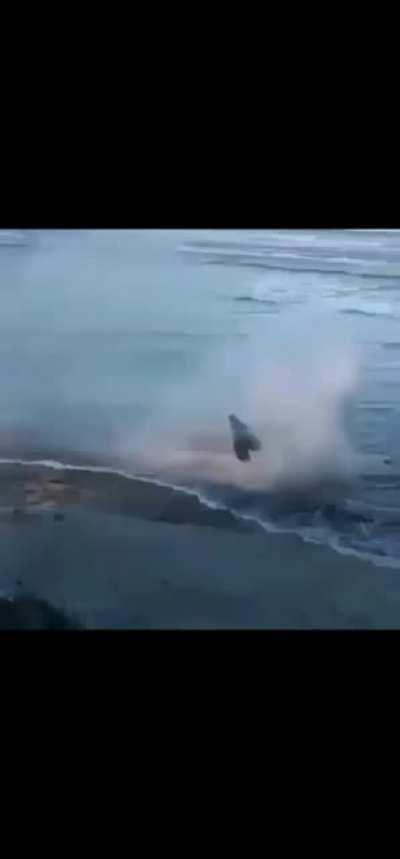 Гоняем на моцах по волнам