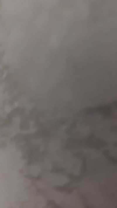 Cats are so unpredictable 