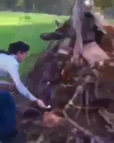 What could go wrong setting gasoline on fire.