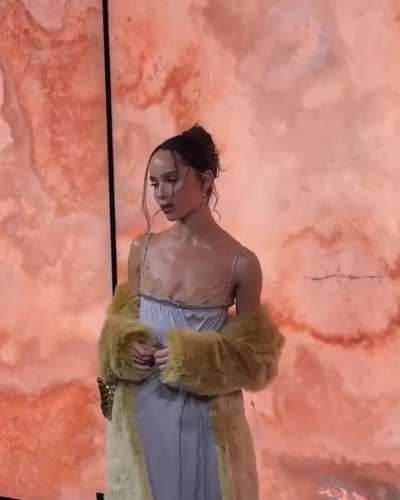 Paris YSL Fashion show March 11th 2025