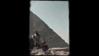 The RT's - Freewheelin'