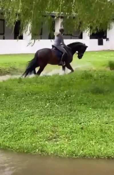 I would like to build in my XC field a water jump that’s a doughnut shape that’s wider on one edge so I could also place a jump into it also. Like the below video