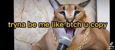 Floppa edit by dhte.cr