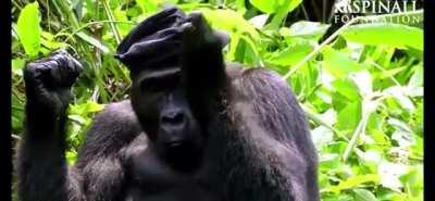 Typical day in Brazil