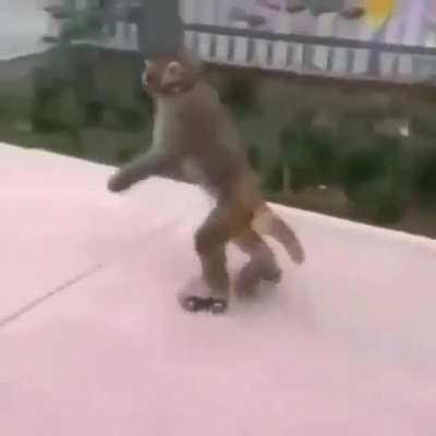 La mina que me gusta:me gustan los hombres que patinan Yo automáticamente: