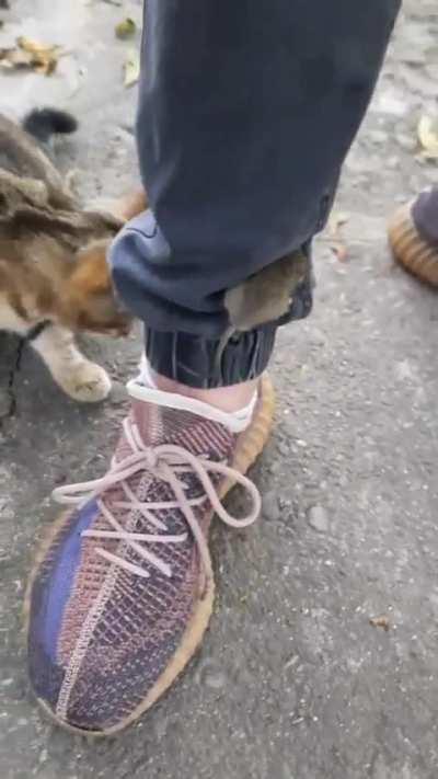 I can smell him, but I can't see him..