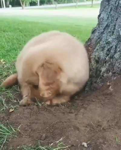 This place is so good to sleep