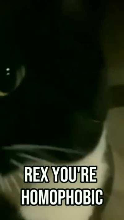 Rex , you're homophobic 😲