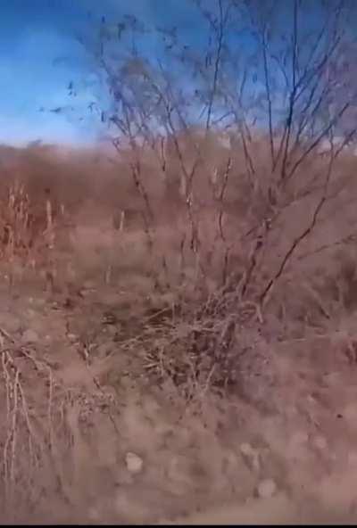 Grupo Flechas 🏹 convoy cruising in Zacatecas