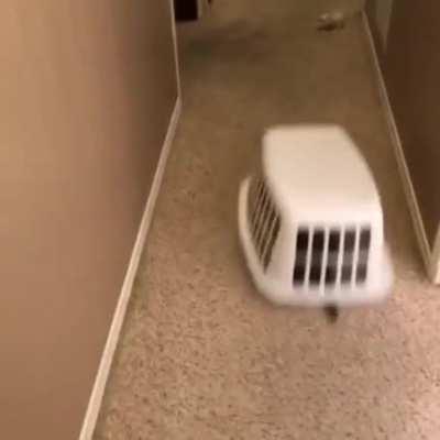 I am under the cover of night